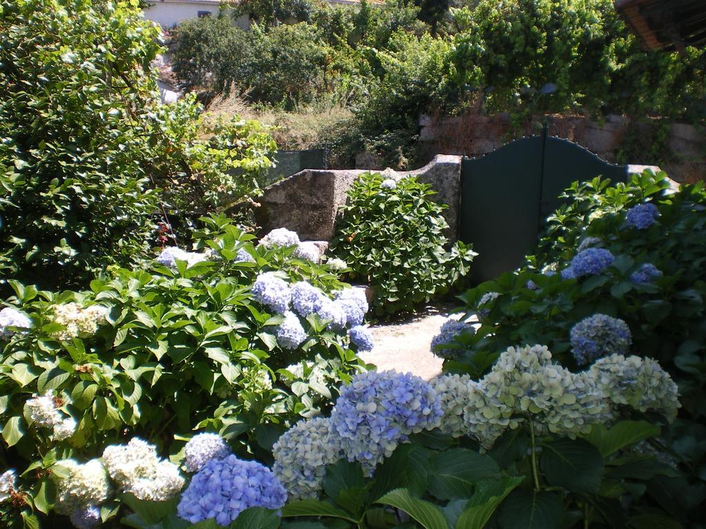 Casa Das Vendas Rum bild