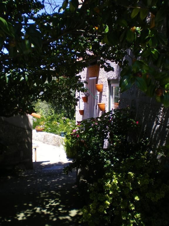 Casa Das Vendas Rum bild